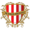 Sokol Brozany logo