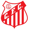 Capivariano FC SP Youth logo