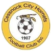 Cessnock City Hornets logo