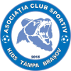 ACS Kids Tampa Brasov logo