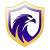 Falcon FC SE Youth logo