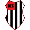 Bandeirante SP Youth logo