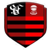 Flamengo SE U20 logo