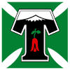 Deportes Temuco logo