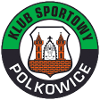 Gornik Polkowice logo
