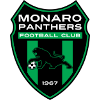 Monaro Panthers logo