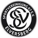 SV Elversberg U17 logo
