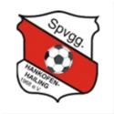 SpVgg Hankofen-Hailing logo