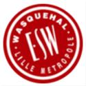 ES Wasquehal logo