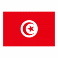 Tunisia U16 logo