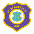 Erzgebirge Aue U19 logo