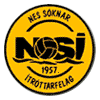 NSI Runavik logo