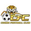 Cooma Tigers logo