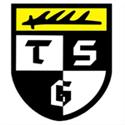 TSG Balingen logo