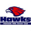 Adelaide Hills logo
