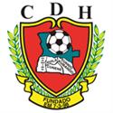 Desportivo Huila logo