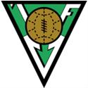 Nữ Volsungur Husavik logo