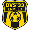 DVS 33 Ermelo logo