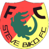 Steve Biko logo