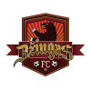 Dziugas Telsiai logo