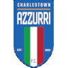 Charleston City Blues logo