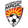 Broadmeadow Magic logo