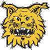 Ilves Tampere II logo