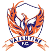 Valentine logo