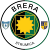Academy Pandev logo