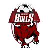 Banyule City logo