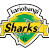 Kariobangi Sharks logo