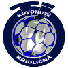 Bridlicna logo