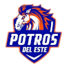 Costa Del Este logo