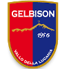 Gelbison logo