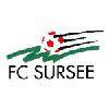 Sursee logo