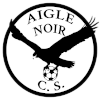 Aigle Noir logo