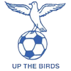 Blue Waters FC logo