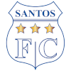 Santos Ica logo