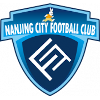 Nanjing City logo
