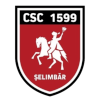 ACS Viitorul Selimbar logo