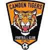 Camden Tigers SC logo