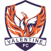 Valentine Phoenix Reserves logo