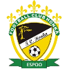 Nữ Honka logo