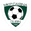 Carina Gubin logo