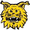 Nữ R.Ilves logo