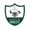 Provincial Ovalle logo
