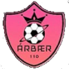 FC Arbaer logo