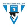 FK Graffin Vlasim logo
