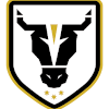 Bulls Academy logo