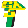 Gornik Leczna logo